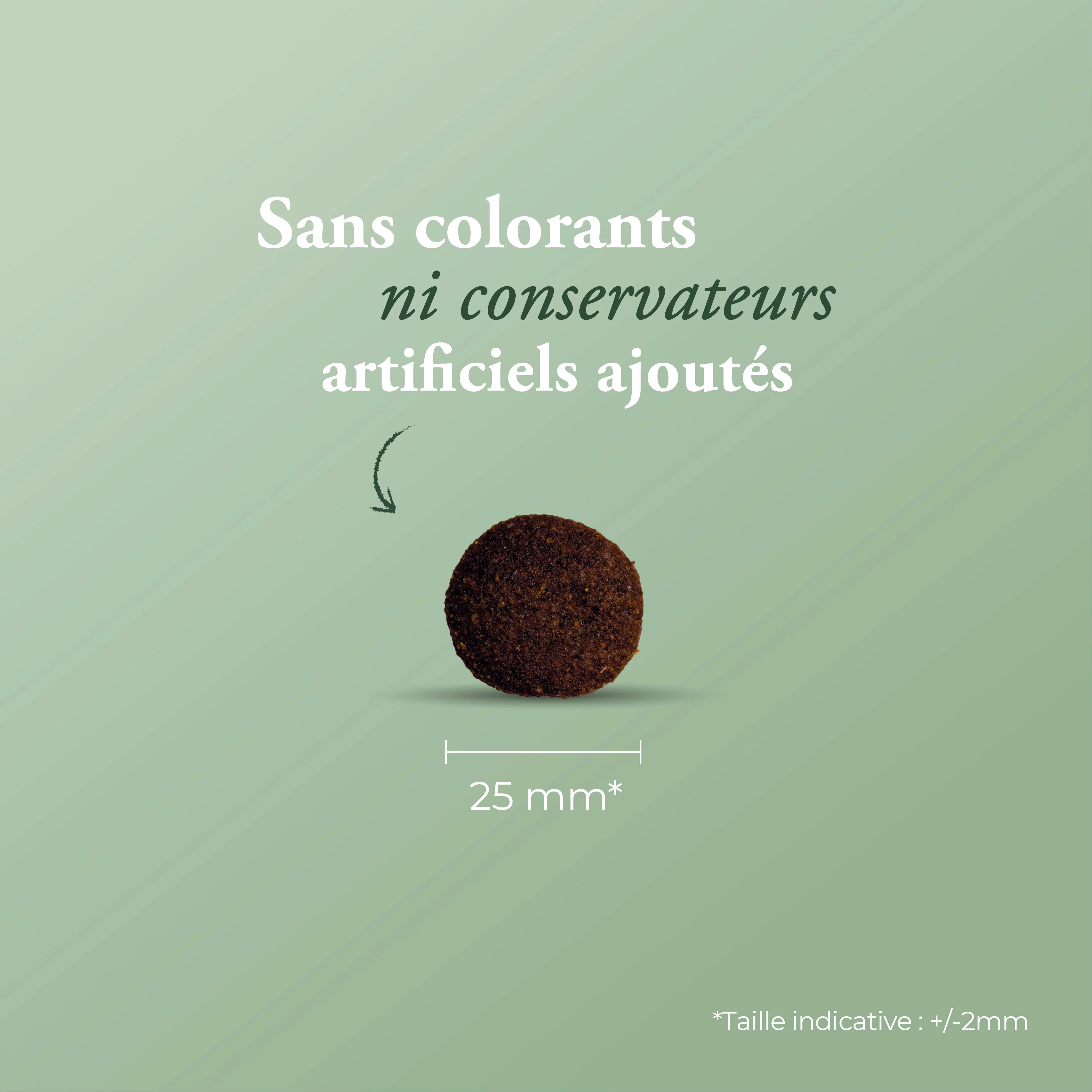 Miniature 2