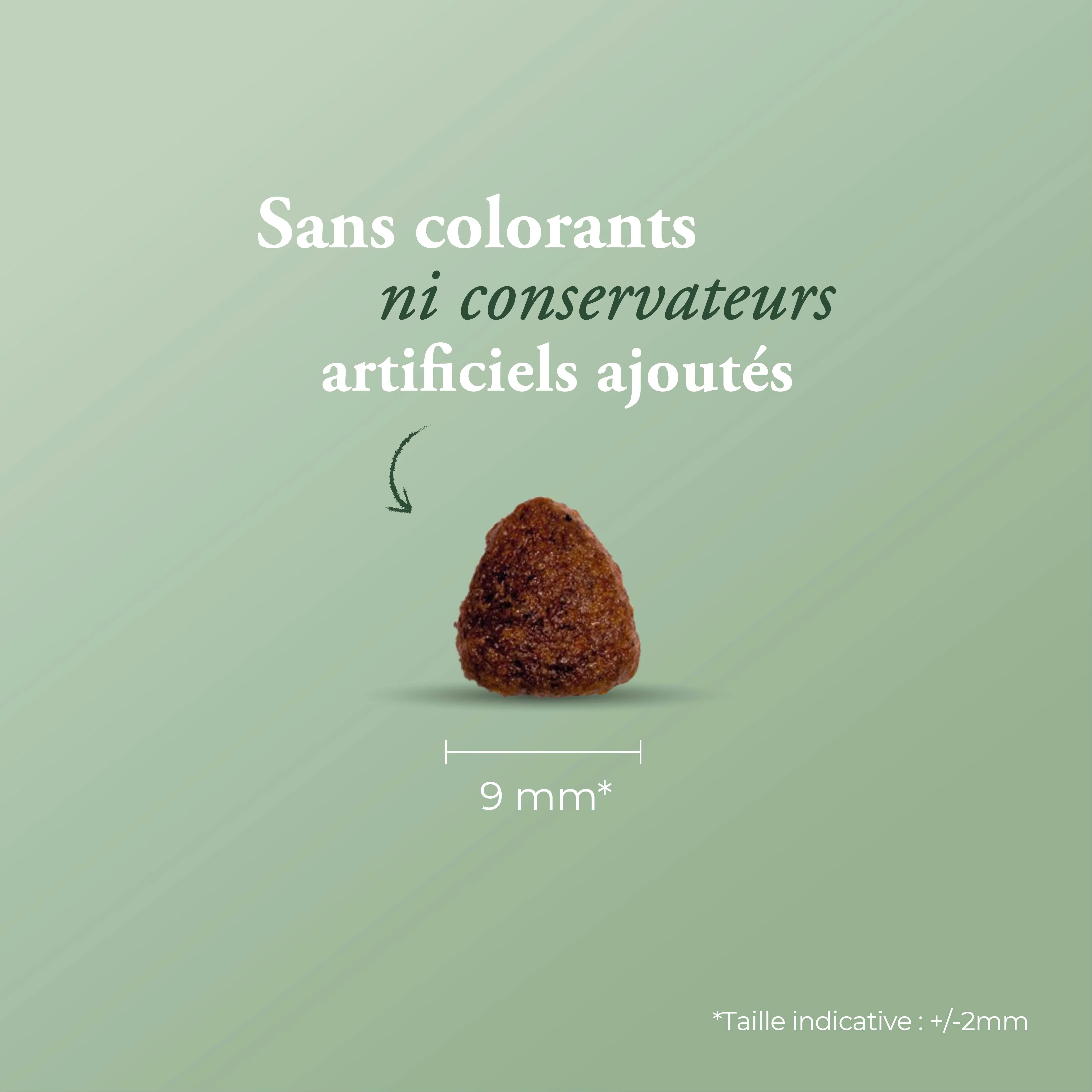 Miniature 2