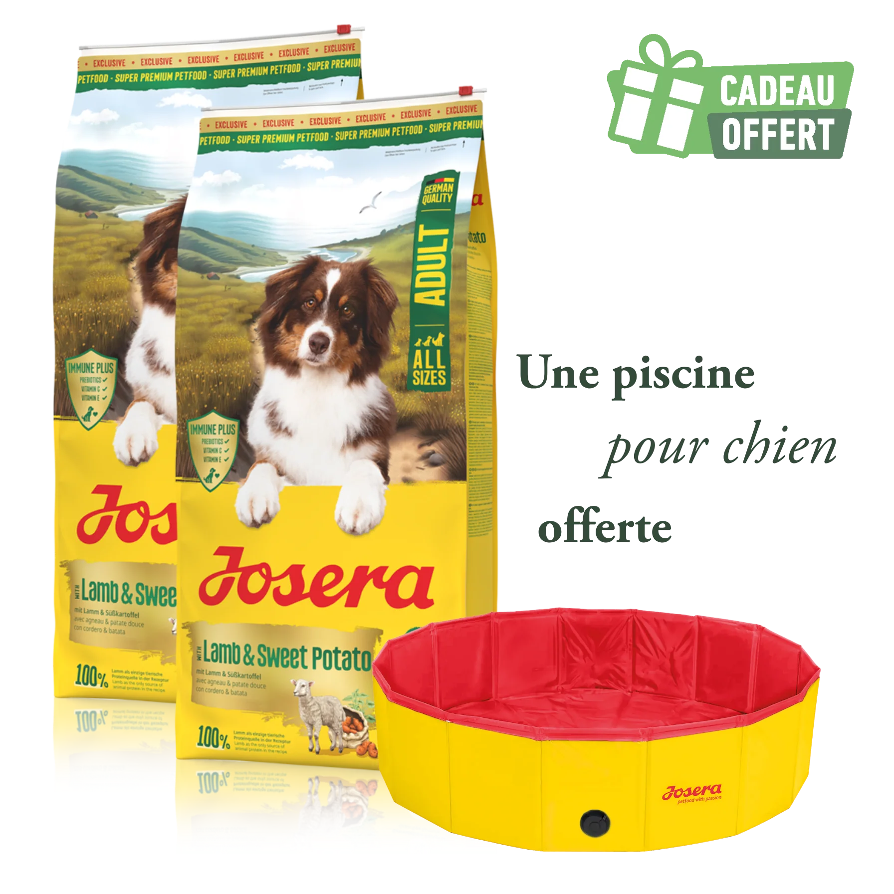 Chiens - Chat - Promotions
